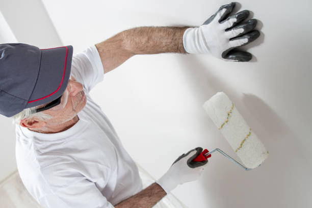 Best Water Damage & Mold Remediation  in Gerald, MO