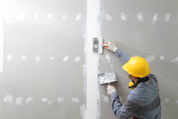 Biohazard Mold Removal in Gerald, MO